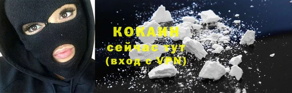 индика Бородино