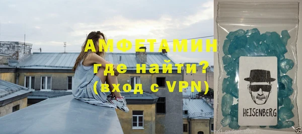 индика Бородино