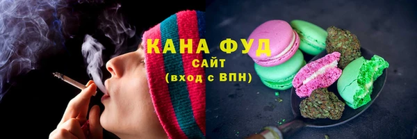 индика Бородино
