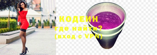 индика Бородино