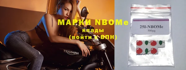 индика Бородино
