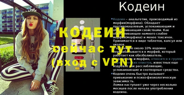 индика Бородино