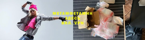 индика Бородино
