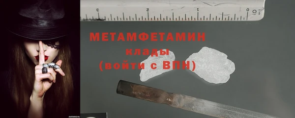 индика Бородино