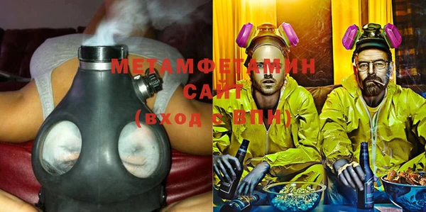 индика Бородино