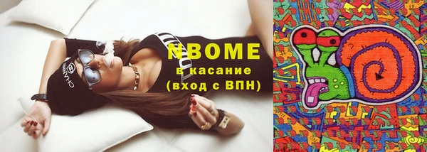 индика Бородино