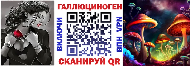 Купить где  Михайловск  Псилоцибиновые грибы мицелий 